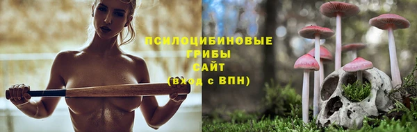 спиды Алексеевка